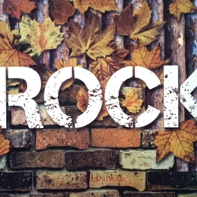 Wallpaper Rock