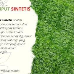 Rumput Sintetis 