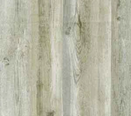 Wallpaper Rock  DV1467 ~item/2023/11/11/dv1467