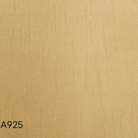  FGA925