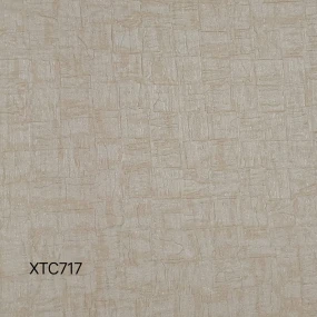  XTC717