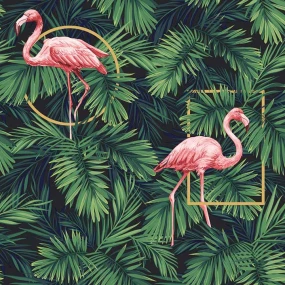  884522 f Flamingo